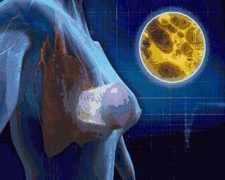 这种甜蜜的毒药，你常吃么？