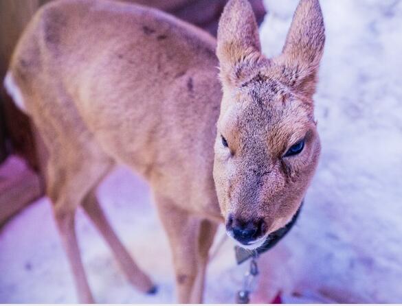黑龙江牡丹江市有什么区,黑龙江牡丹江属于哪个地级市