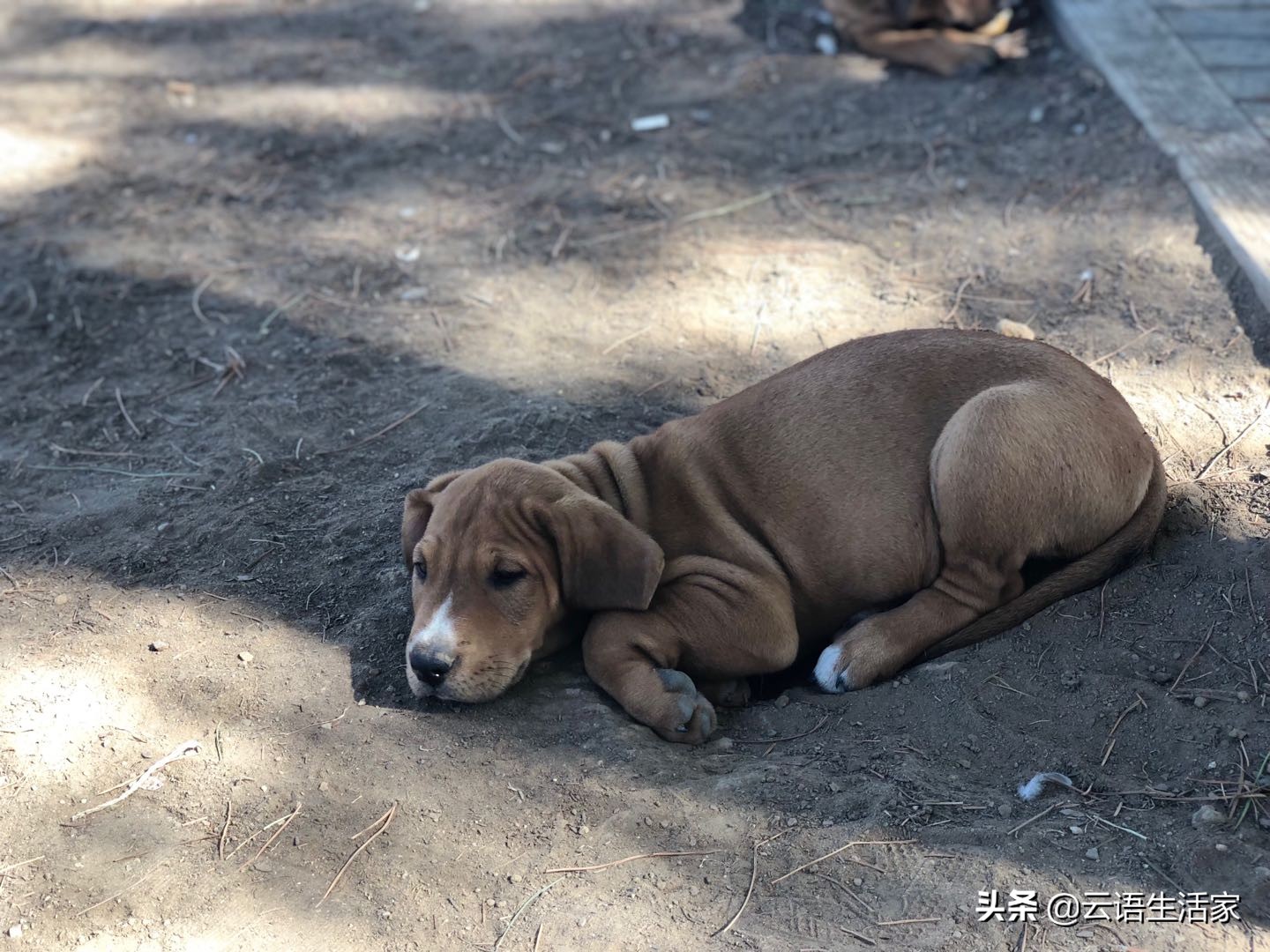 远走土耳其,我在星月之国上天入海(三)