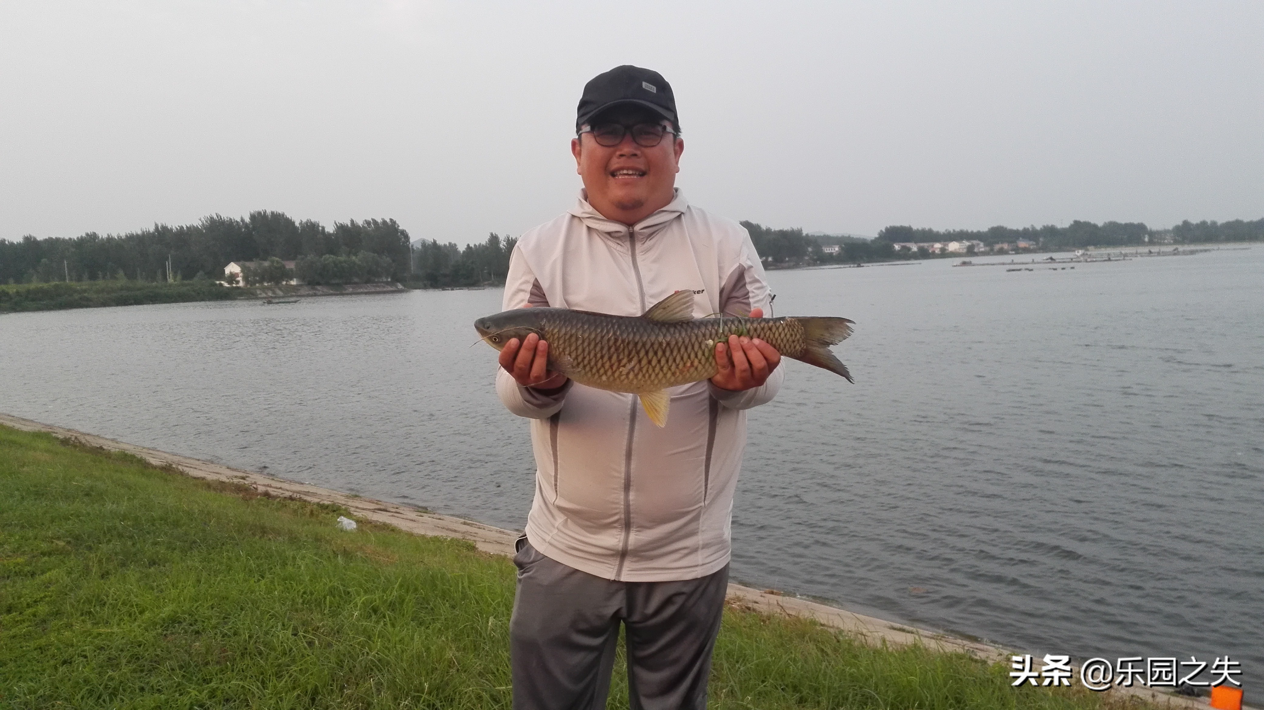 野外水库垂钓草鱼怎么选钓点,水库草鱼野钓技巧解读