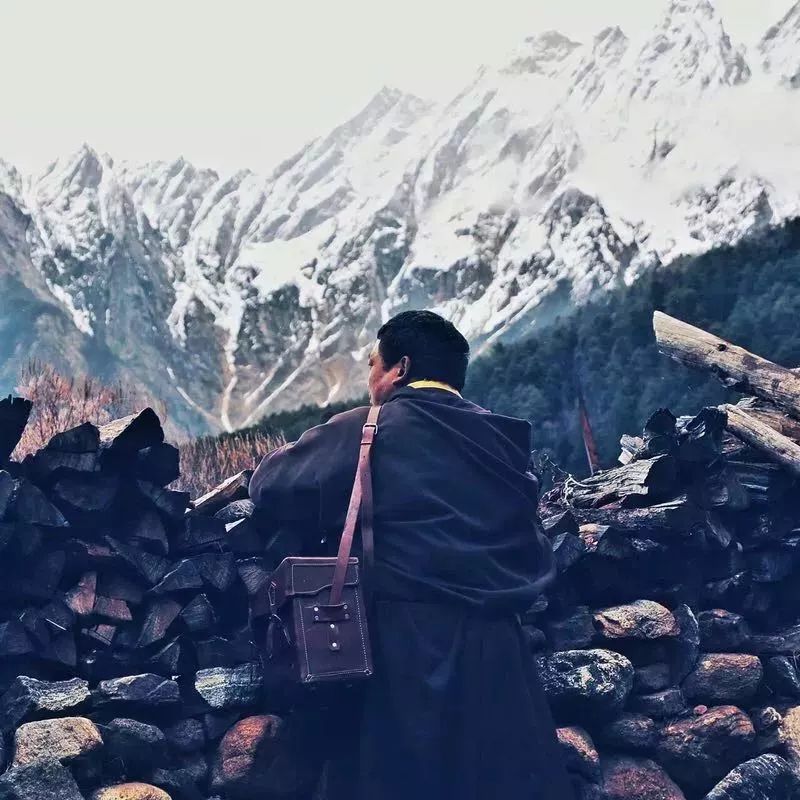 极地大型纪录片,纪录片极地生灵