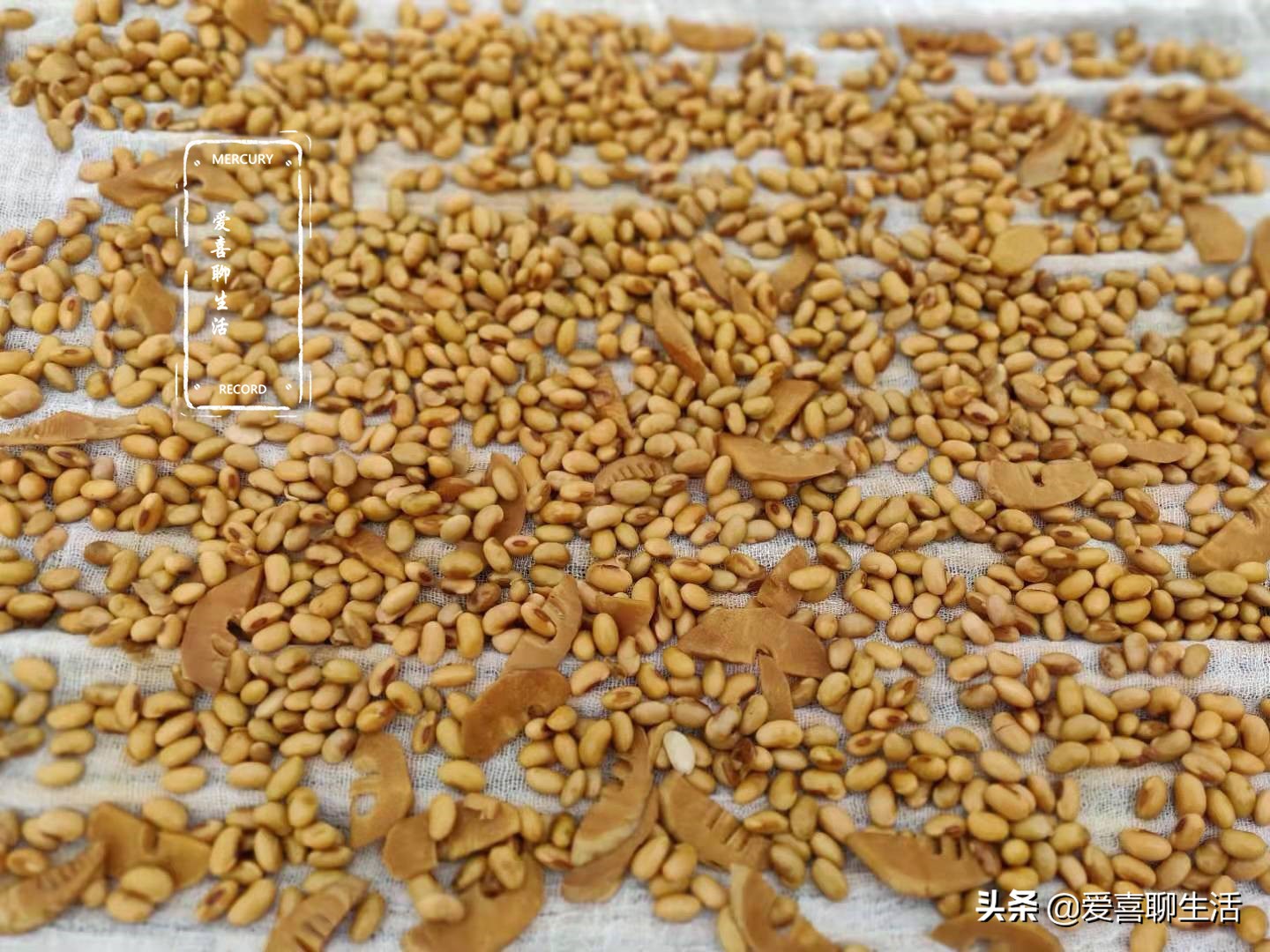 南方笋做法大全家常,小孩子喜欢吃的笋家常做法