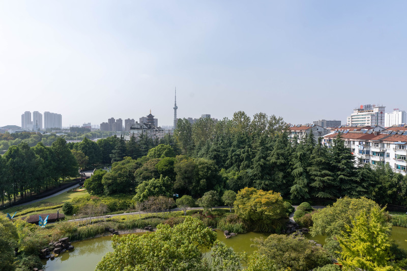 乘着高铁去踏青赏景,乘着高铁游扬州高邮北