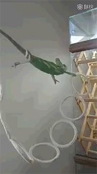 特别搞笑的收藏照片,值得收藏的gif动图