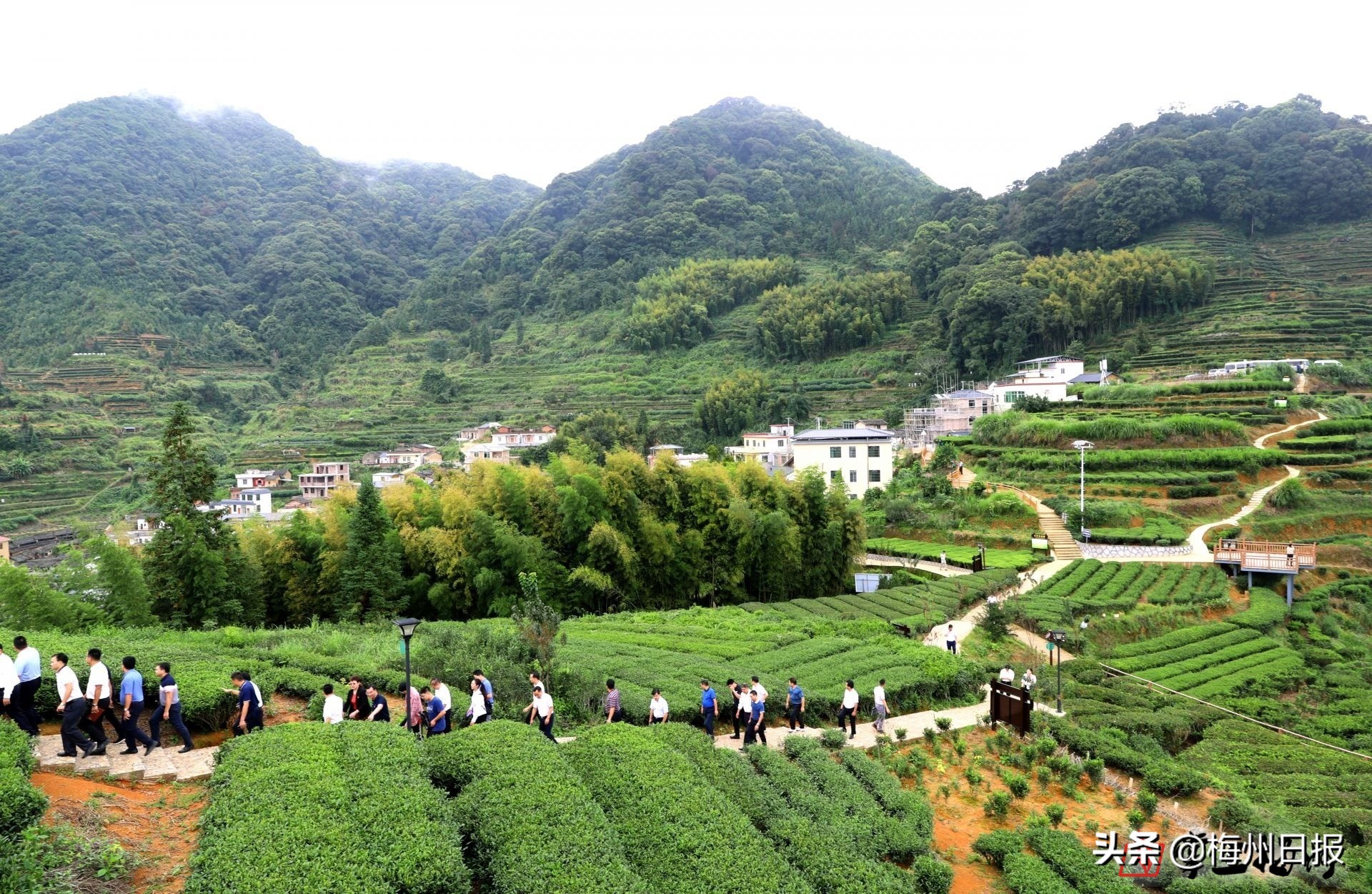 吴晖朱少辉率*党**政代表团赴丰顺大埔学习考察：学经验补短板，铆足干劲迎头赶上
