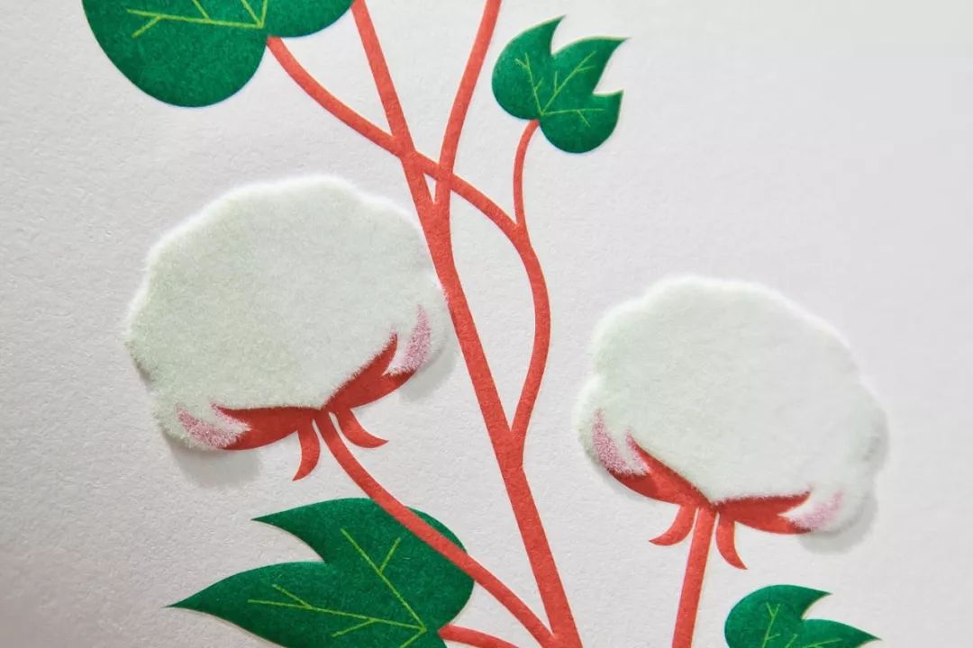 印刷平面设计师必备知识,平面设计师需要注意什么印刷知识