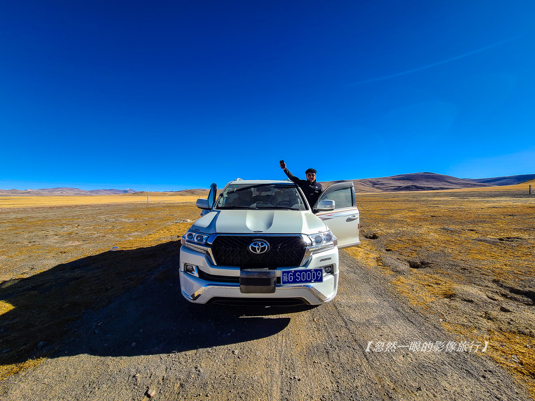 阿里无人区野狼出没,阿里无人区狐狸