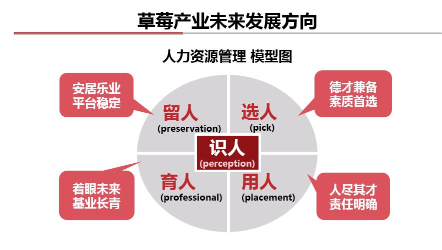 现在种草莓到过年来得及吗,种草莓有前途吗