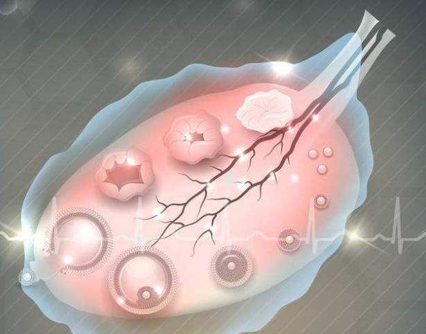想要快速怀孕教你8招,如何快速怀孕这七招一定要记住