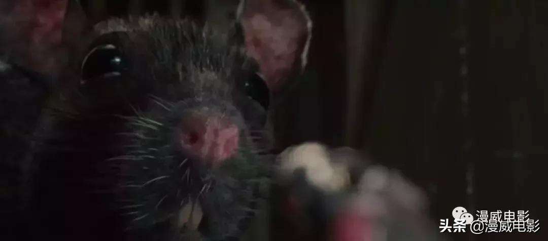 复仇者联盟终局之战后又一个巨作,复仇者联盟中的彩蛋你发现了吗