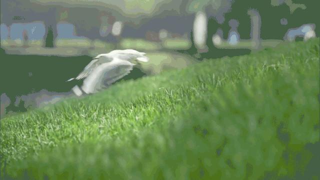 独拥43万㎡自然大境，在即墨·青特城，悦享诗意栖居