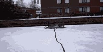 搞笑动图笑得肚子痛,搞笑动图gif图片合集