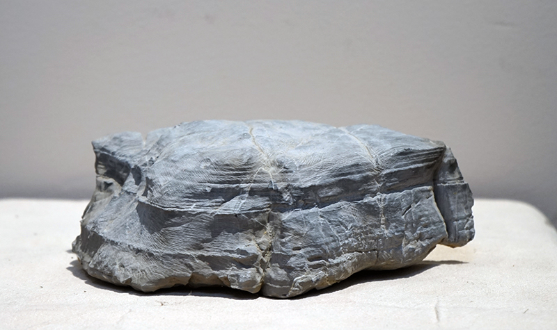 10月27日安徽保真藏品（书画、观赏石）艺术品图鉴（61-5期）