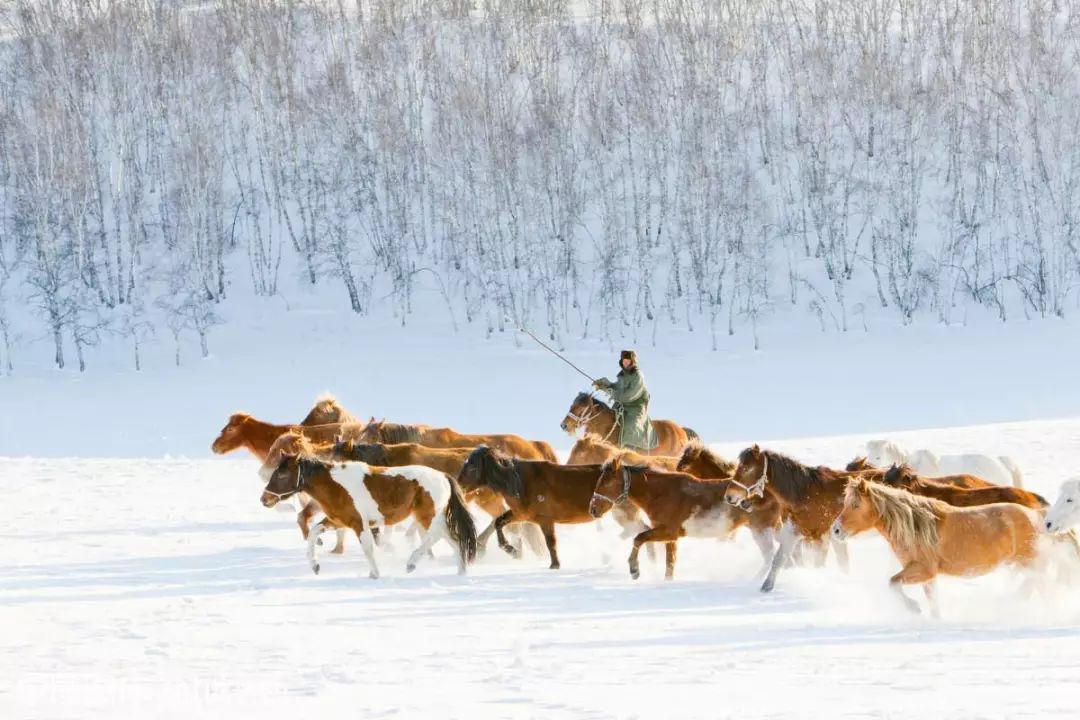坝上风情坝上人,坝上哪最适合露营