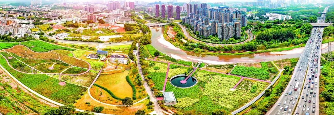 特区40周年相片,特区四十周年