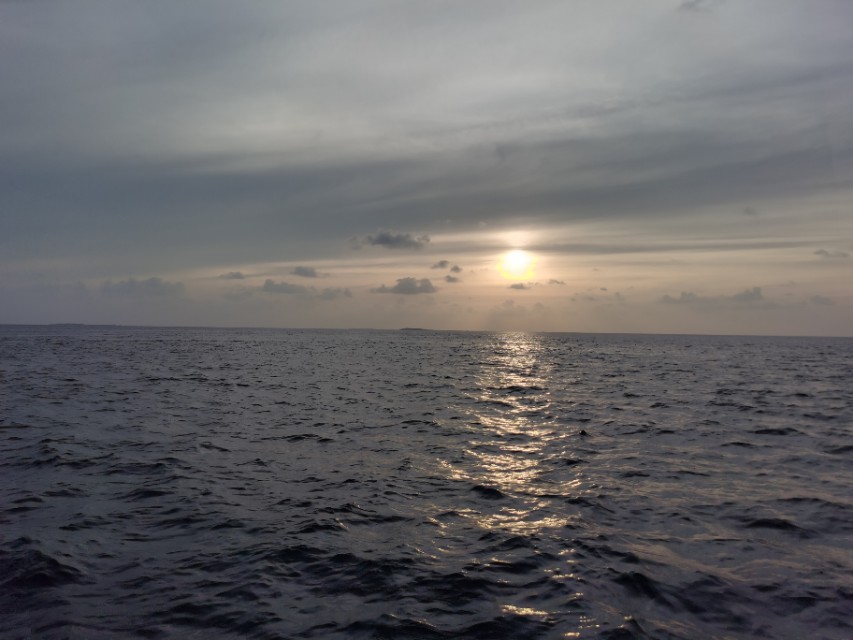 马累市区周边浮潜,马累本岛浮潜