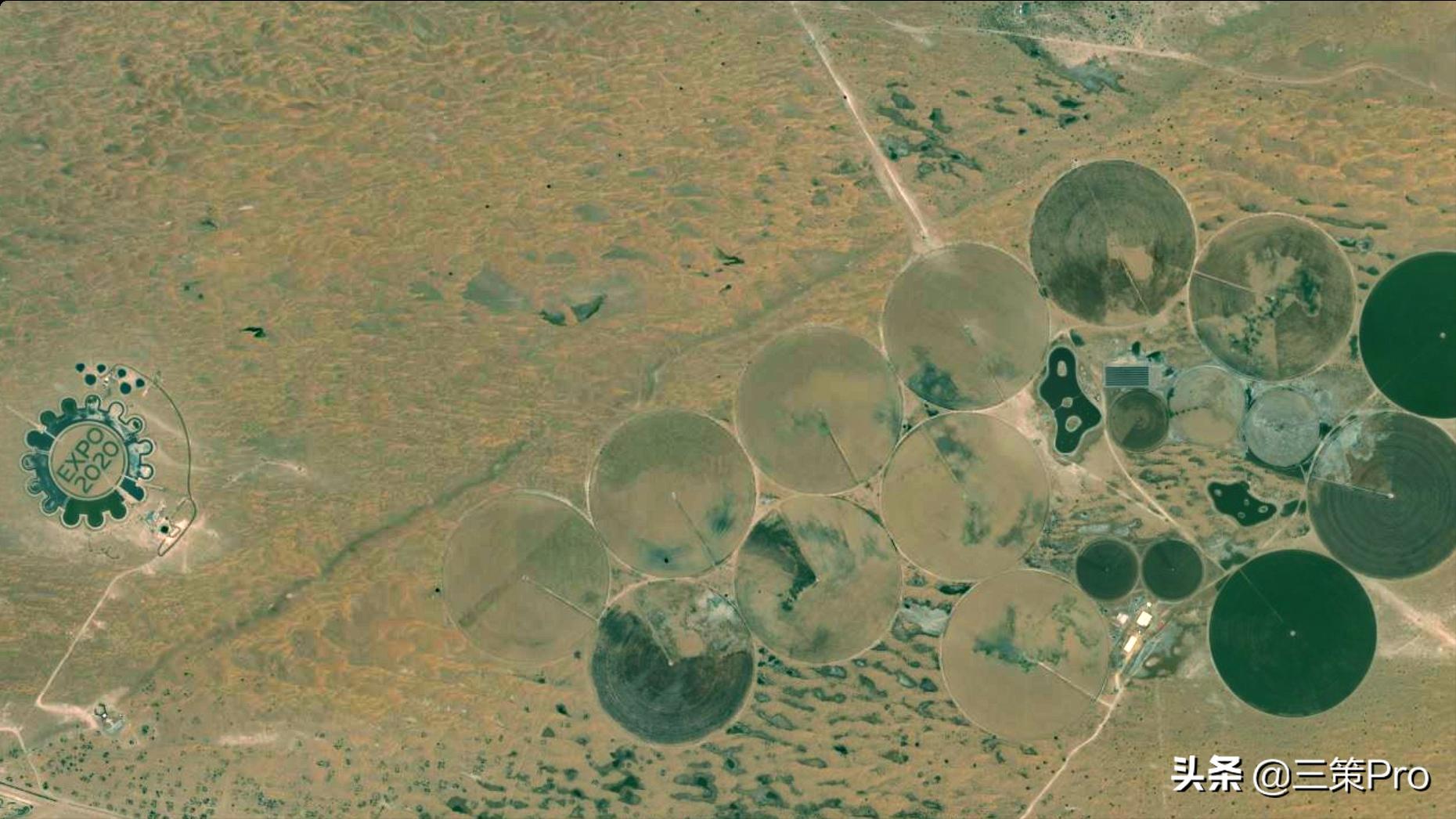 沙漠玫瑰在阿联酋卖灯具,阿联酋迪拜玫瑰