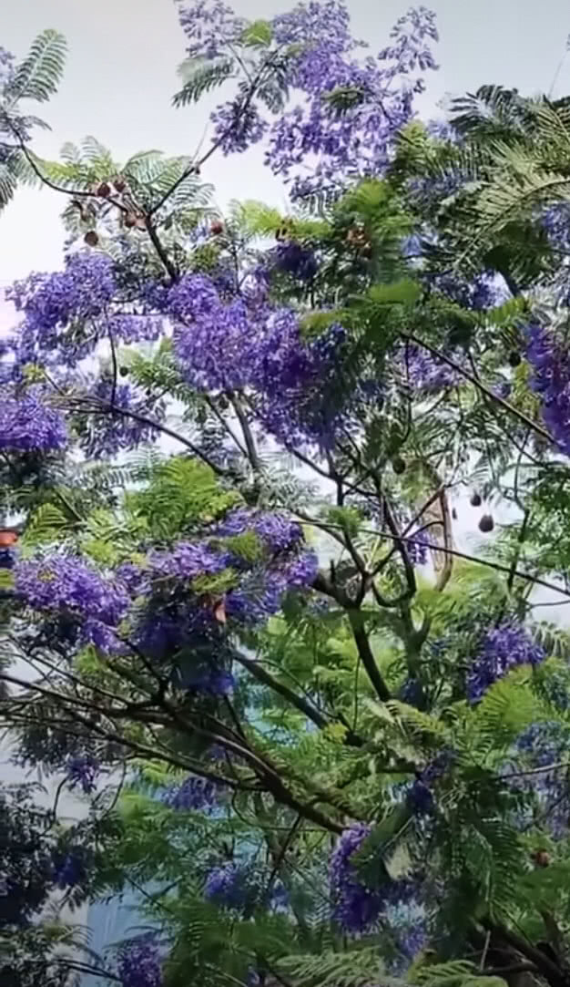 和婆婆吵架公公打电话到我娘家,儿媳妇和公公吵架怎么办