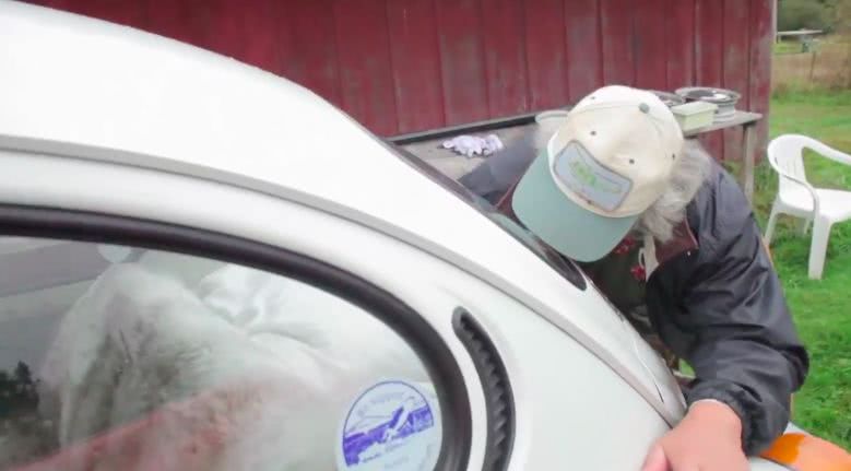 他和未婚妻处了5年，背地里居然买了14个橡胶娃娃！