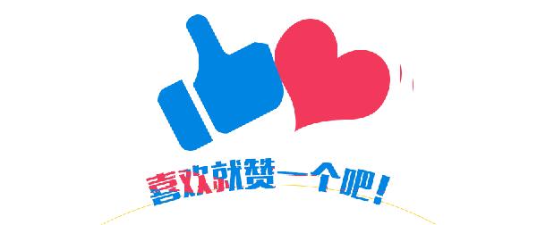 买什么品牌狗粮便宜,泰迪美毛狗粮平价款狗粮