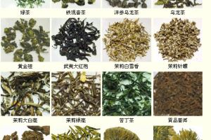 各种名茶样品,各种名茶及图片
