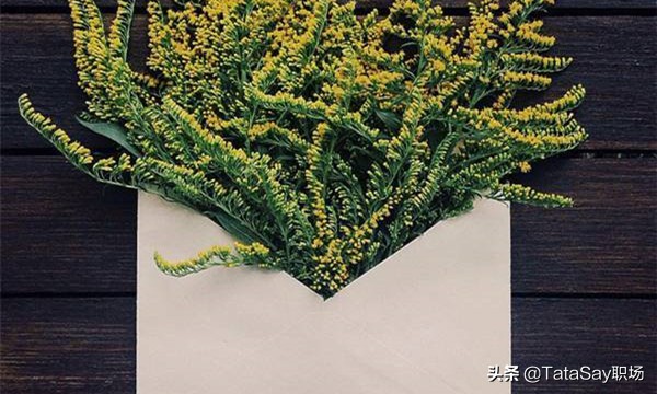 百家号如何申请原创作者认证,百家号怎么申请优质原创作者