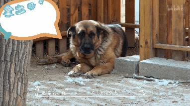 b站必看的综艺,b站能看的综艺推荐