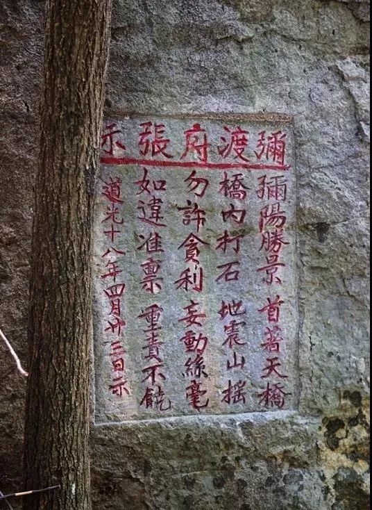 云品出滇入鲁,云品出滇鲜