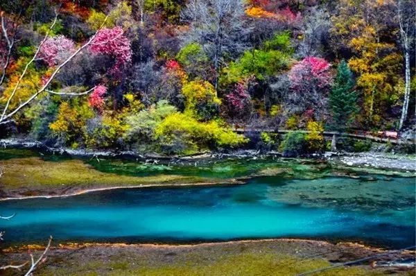 比九寨沟还漂亮的景点,比四川九寨沟更美的地方