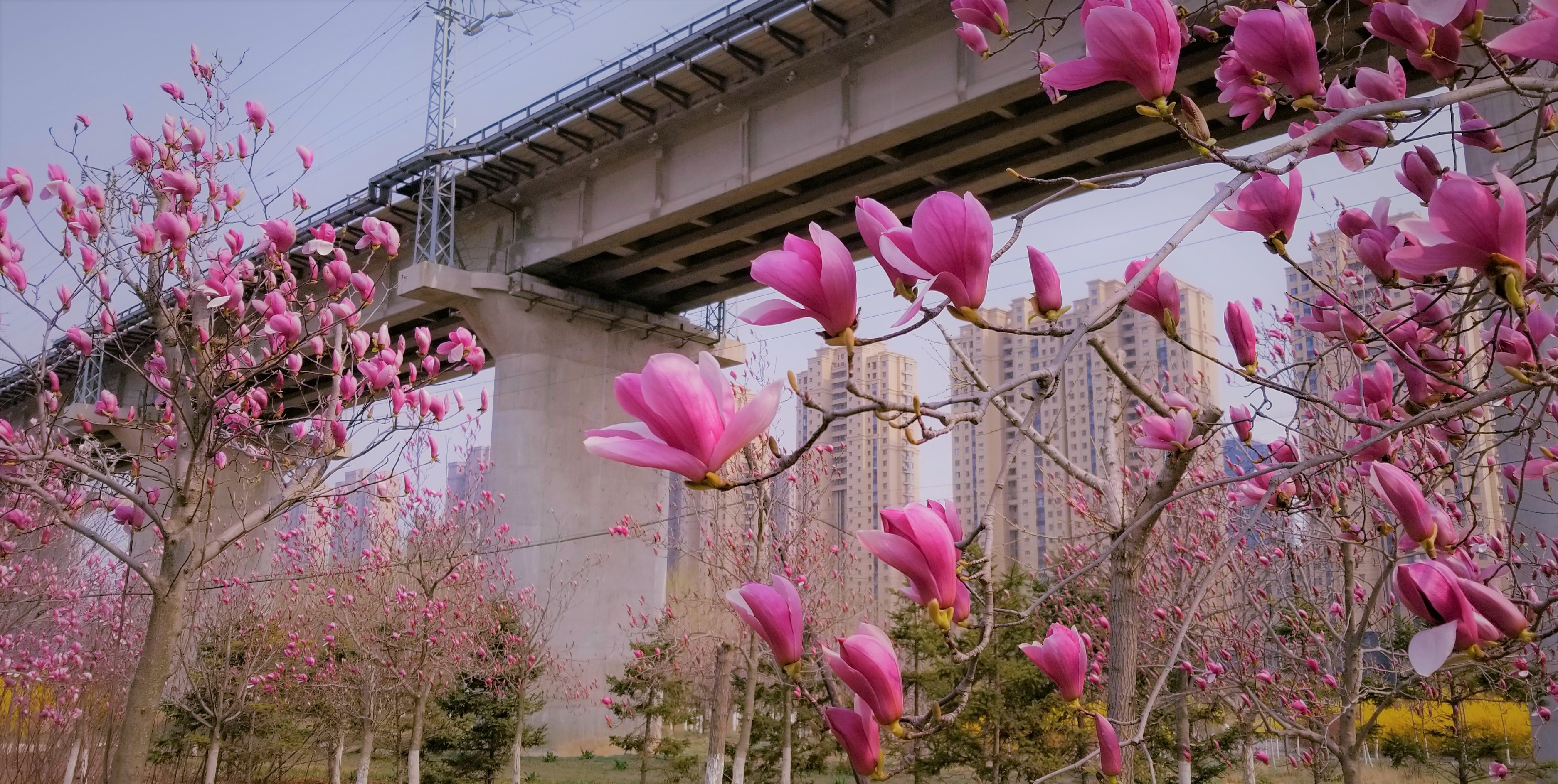 景美人少公园,景美人少适合去哪里旅游
