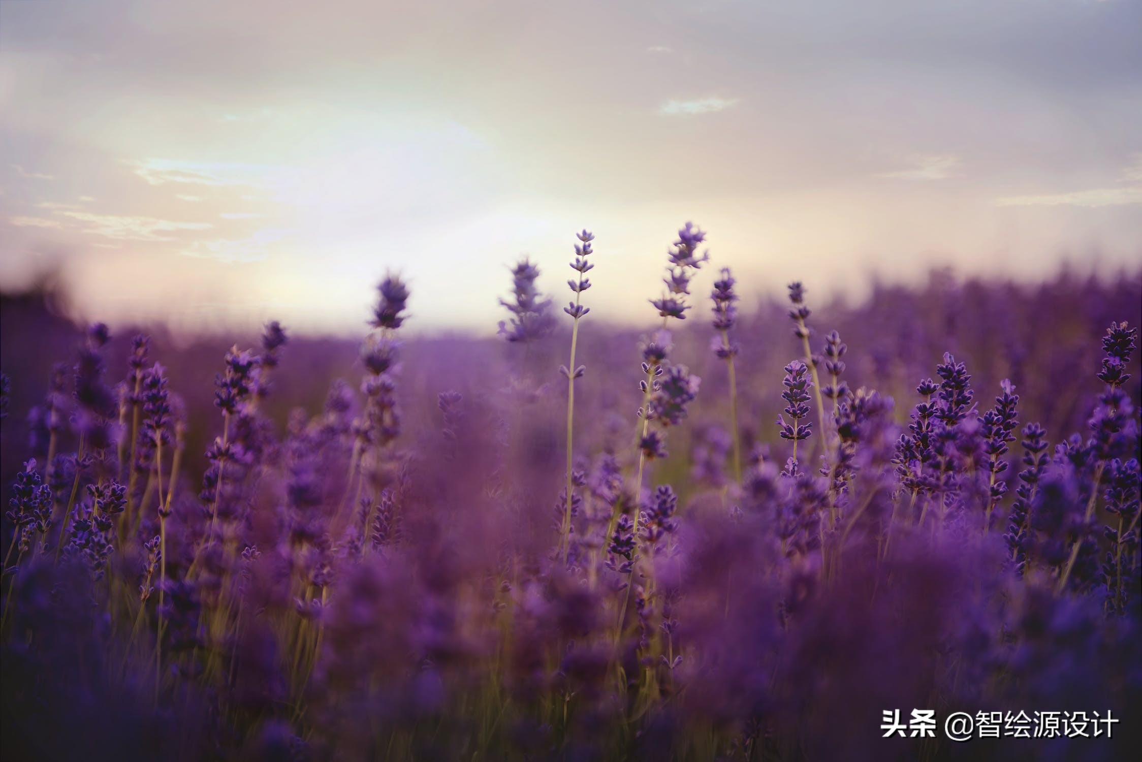 10条cdr新手必知（全套cdr70集教程+1000份矢量素材免费送）