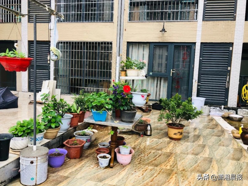 湘潭妈妈携孩子跳楼事件,27岁女子产后跳楼身亡后续