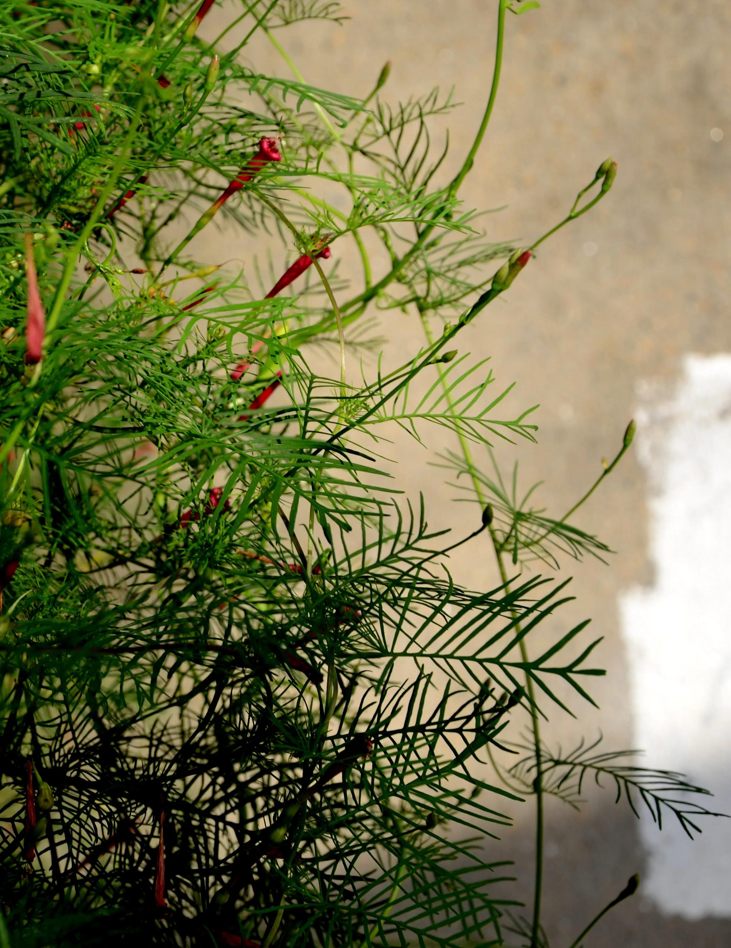 至德堂（4）融合：教育本有的模样