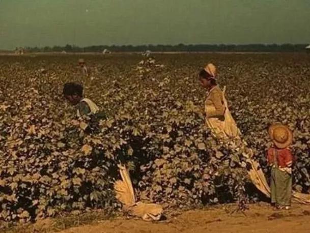 敢对中国搞双标的外企，你们会得到“福报”的