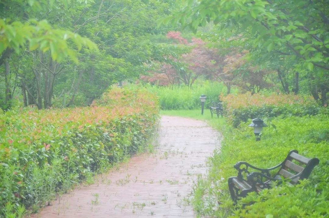 梅雨时节的铁山寺,这里藏着最美的风景
