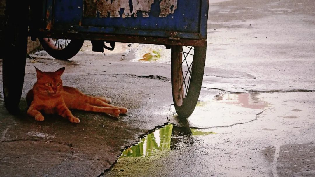 现在的拱北,还能留住多少珠海澳门人的脚步?