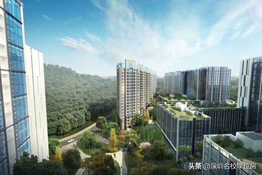 深圳对口学校,深圳9年一贯制直升学校的条件