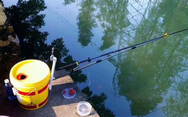 垂钓教学入门零基础,野钓用哪种坐凳最好