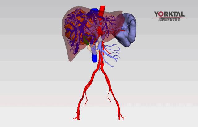 盘点全网那些惊掉下巴的神操作,让人惊掉下巴的神奇的操作