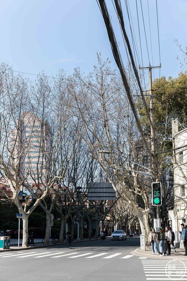 静安寺旁的「下午茶路」！森系、复古、蒸汽波...仙女必去~