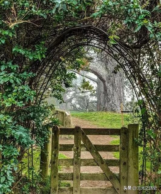 牛羊比人多十倍的新西兰，是如何成为世界前十的发达国家的？