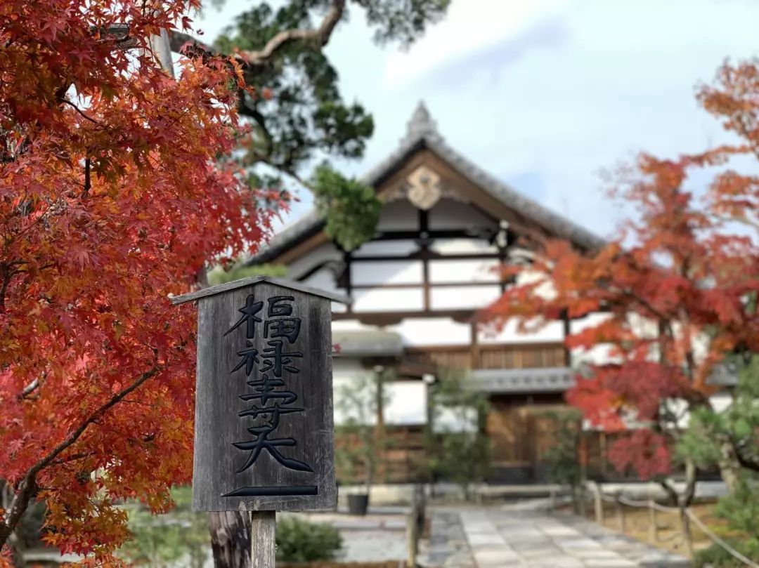岚山哪有好玩的,日照岚山区值得去吗