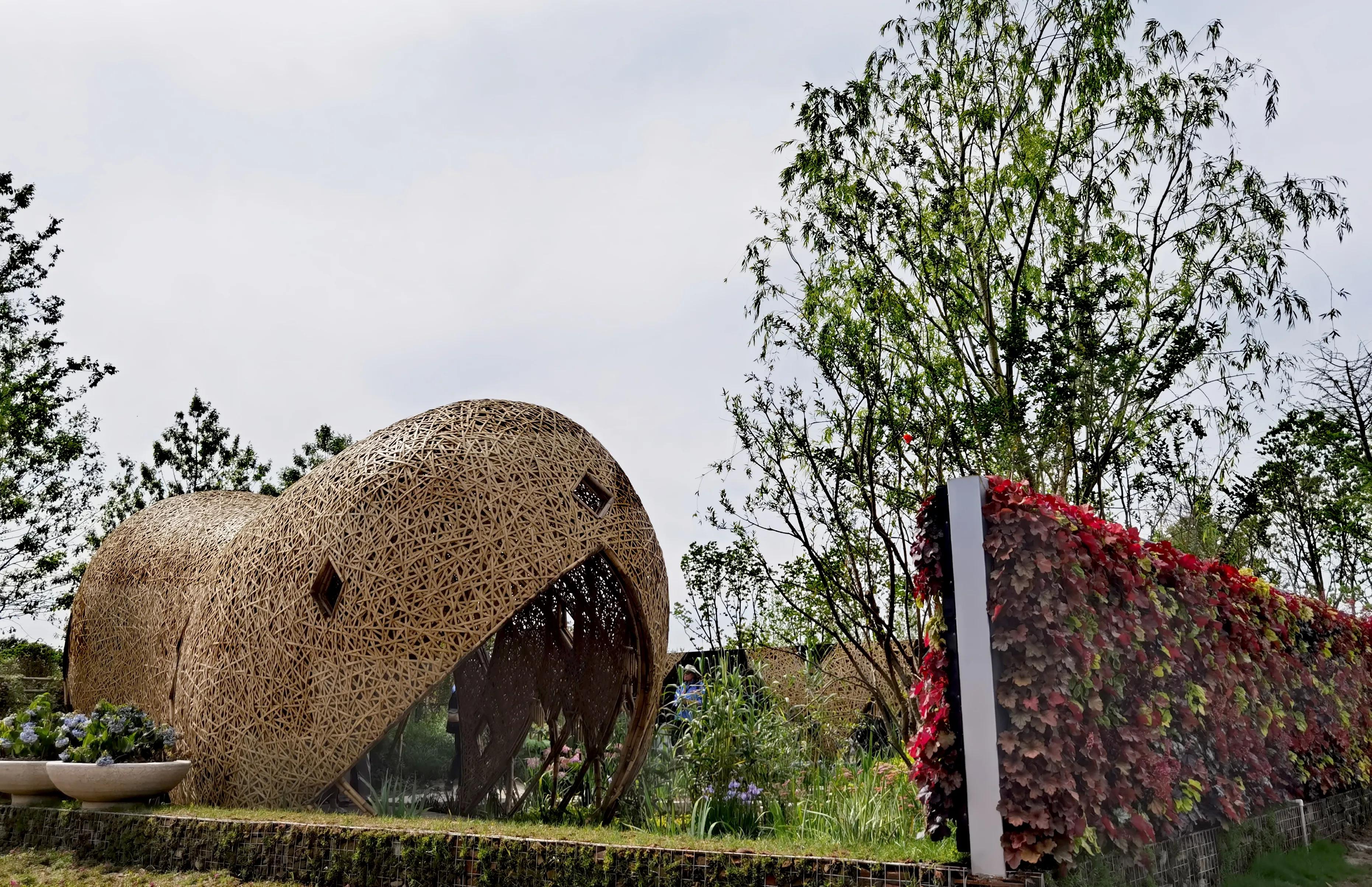 关于崇明花博会,崇明花博会全程花景