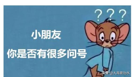 女权对伪女权,女权vs女权