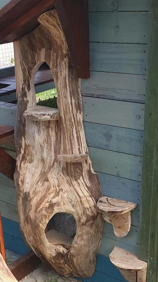 拥有“私家园林”,游遍世界各地,这些猫咪的生活太让人羡慕了吧