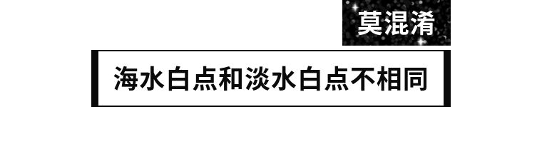 海缸白点怎么彻底消除,该怎么拯救大海