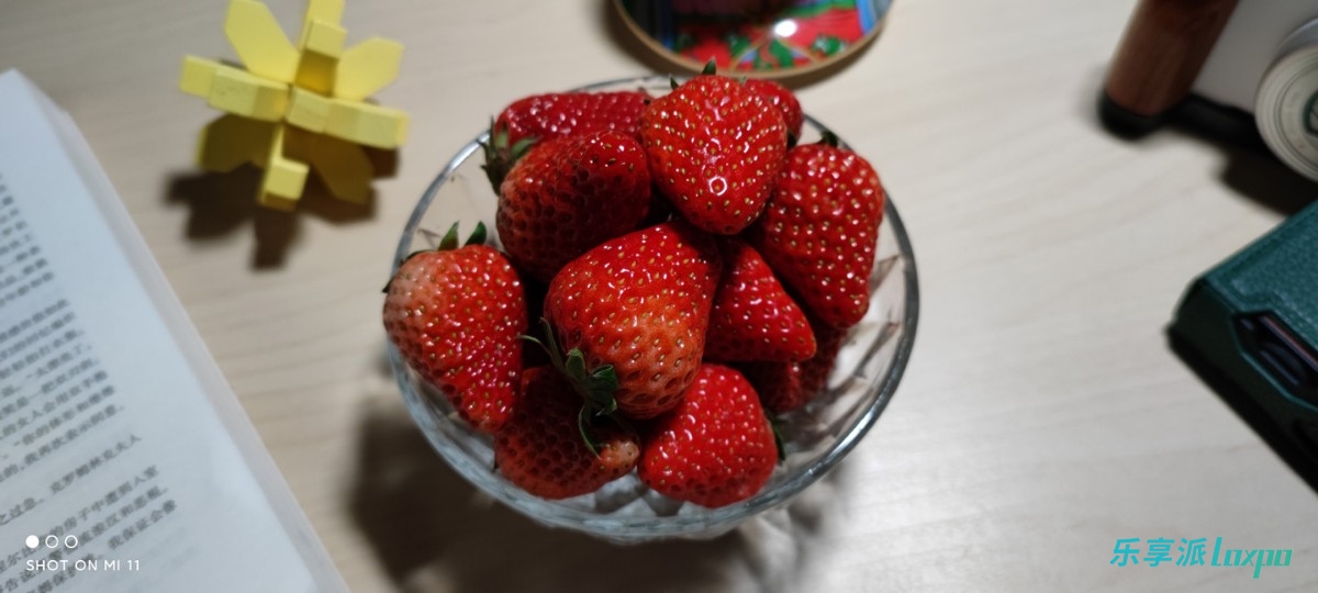 骁龙888是火龙还是冰龙,骁龙888和888plus都是火龙吗