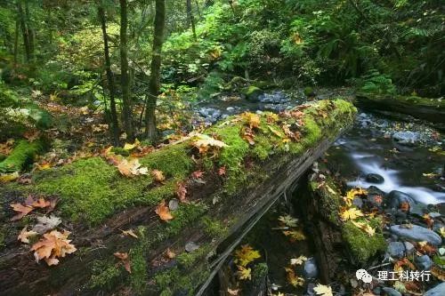 电气测控专业就业前景,电气相关专业就业前景