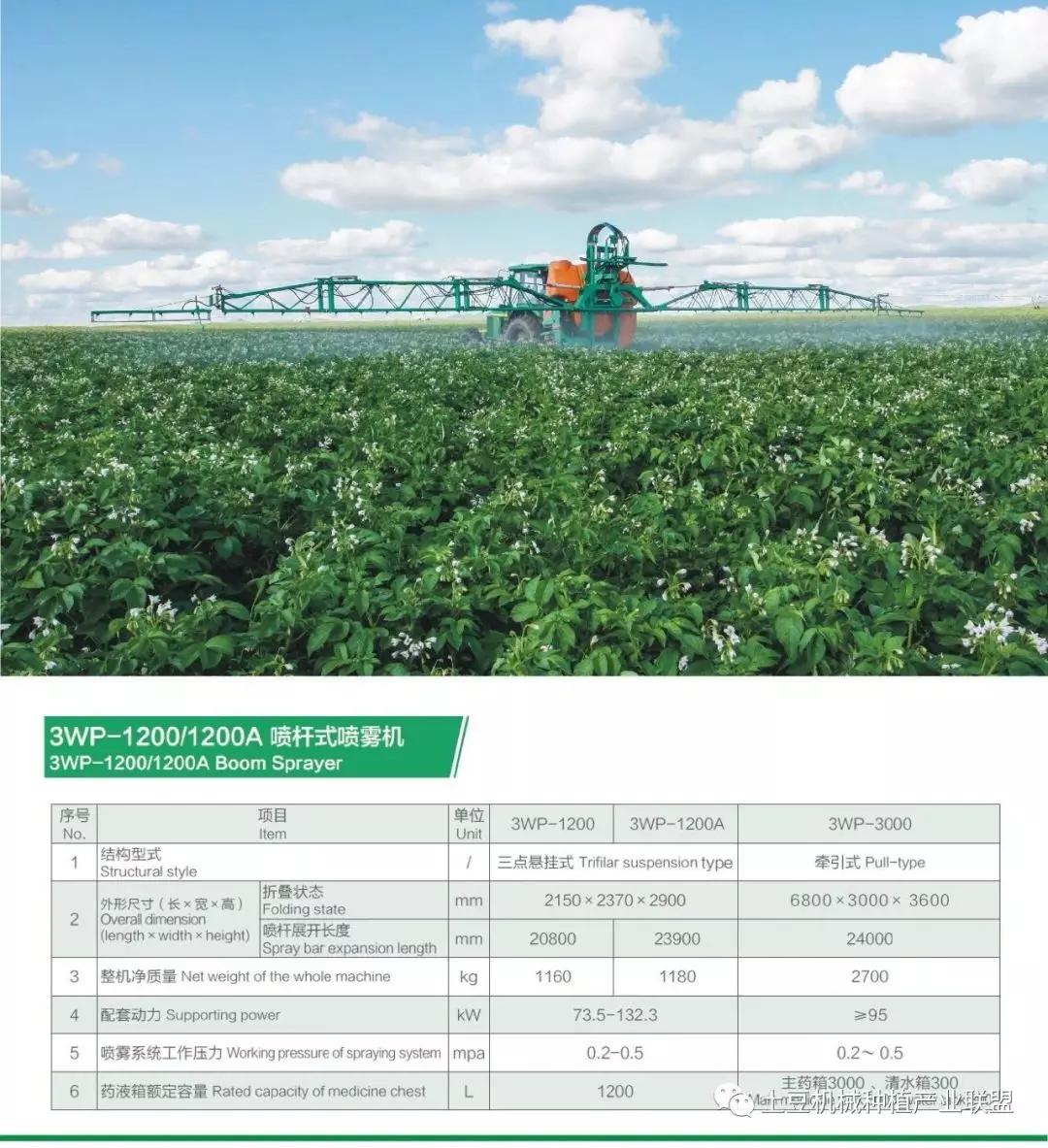 灭草松除草剂对马铃薯药害,马铃薯药害的一般症状图片