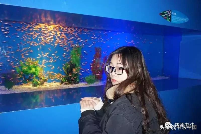 上饶师范学院2017级书法学专业作品展